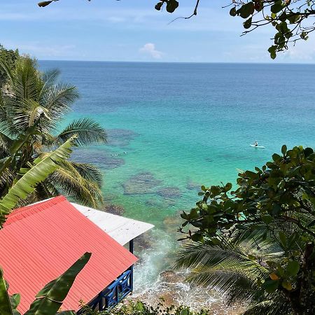Tesoro Escondido Ecolodge Cabinas Μπόκας ντελ Τόρο Εξωτερικό φωτογραφία