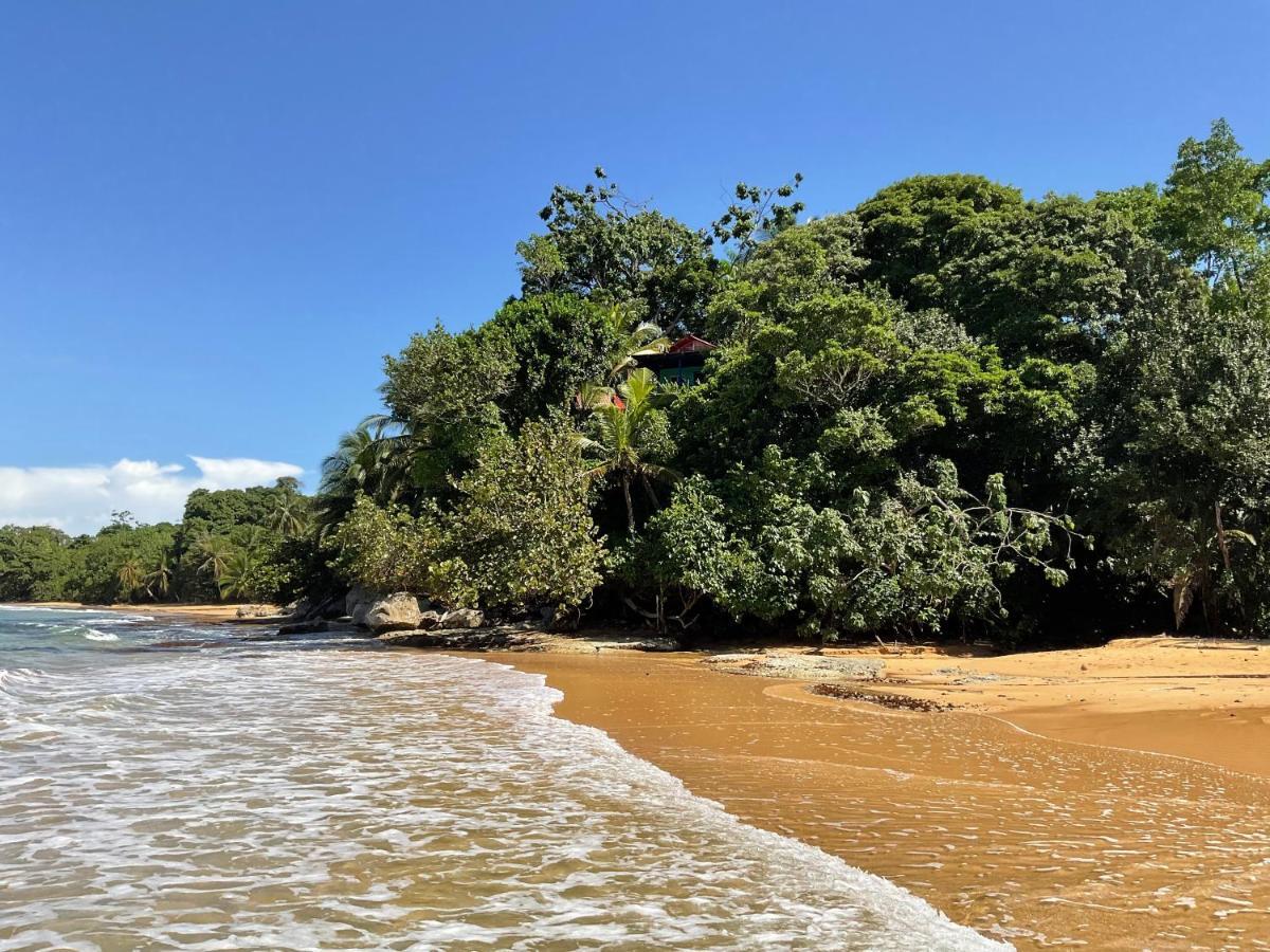 Tesoro Escondido Ecolodge Cabinas Μπόκας ντελ Τόρο Εξωτερικό φωτογραφία