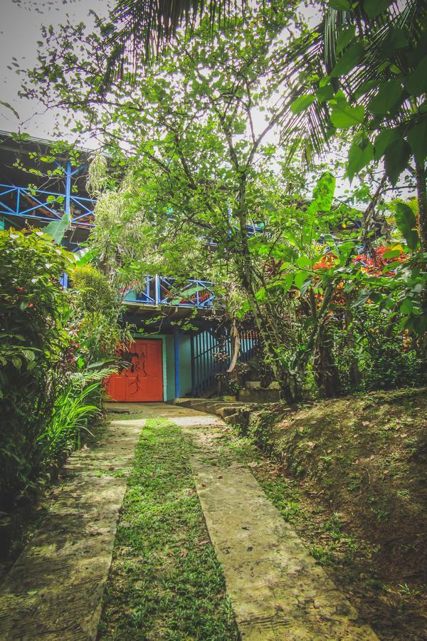Tesoro Escondido Ecolodge Cabinas Μπόκας ντελ Τόρο Εξωτερικό φωτογραφία